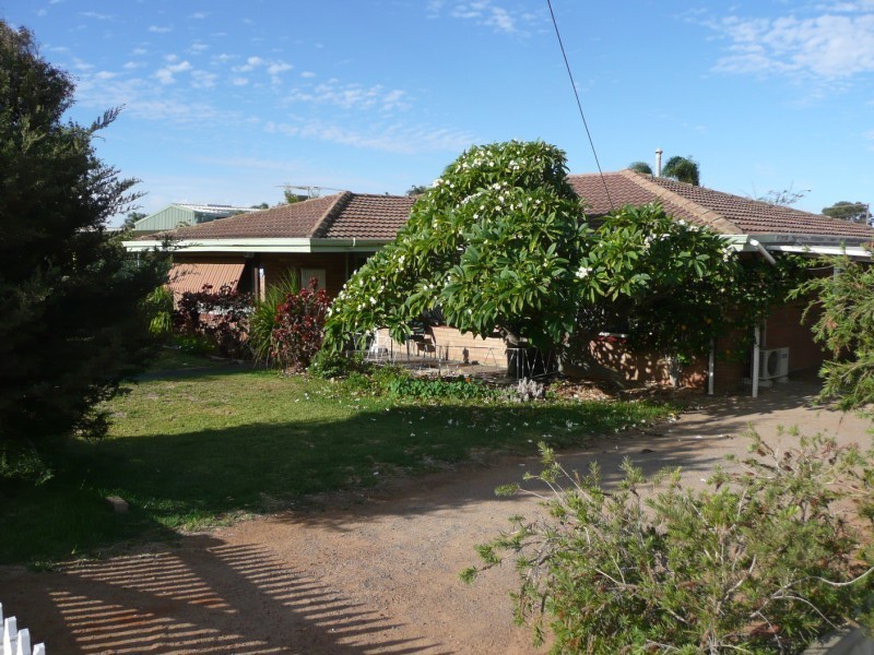 430 Chapman Road, Bluff Point WA 6530