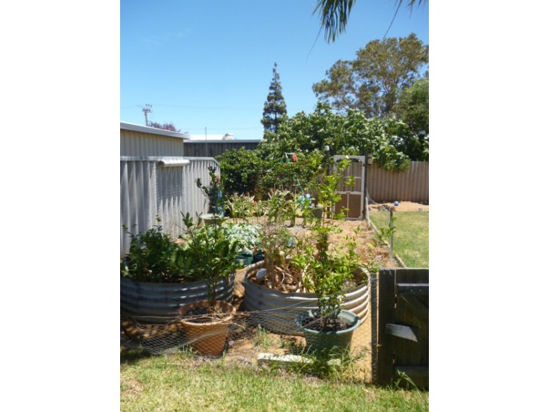 23 Pinyali Way, Waggrakine WA 6530