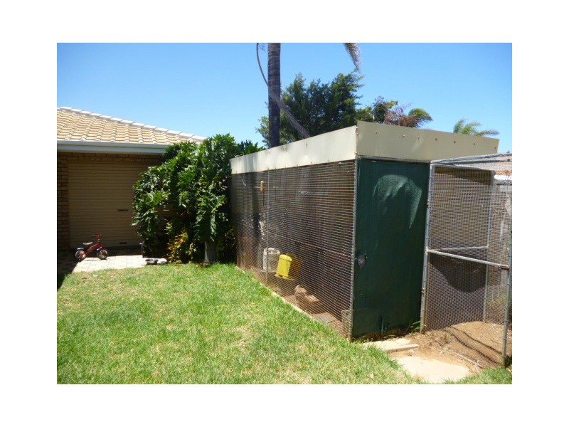 23 Pinyali Way, Waggrakine WA 6530