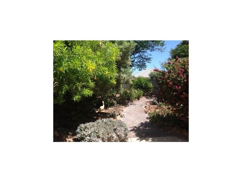 3 Shoalhaven Street, Drummond Cove WA 6532