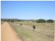 276 Hall Road, Waggrakine WA 6530