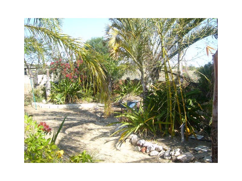 276 Hall Road, Waggrakine WA 6530