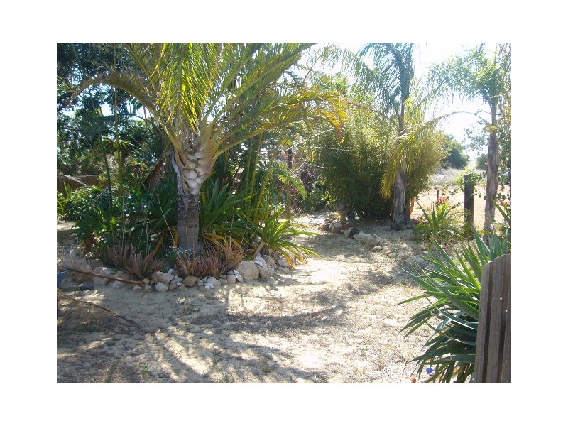 276 Hall Road, Waggrakine WA 6530