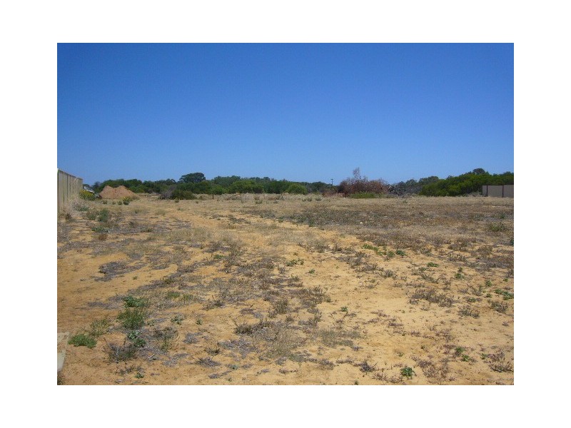 21 Wahn Ave, Waggrakine WA 6530