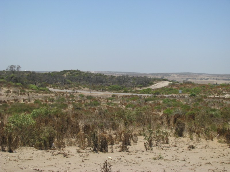 L 115 African Reef Blvd, Greenough WA 6532