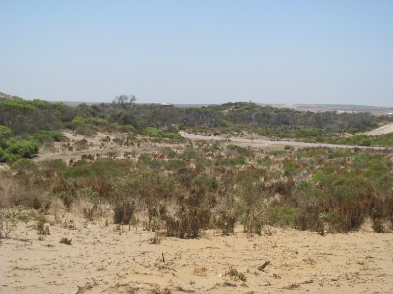 L 115 African Reef Blvd, Greenough WA 6532