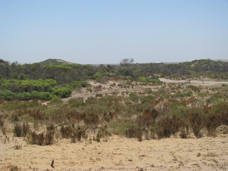 L 115 African Reef Blvd, Greenough WA 6532