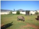 13 Polwarth Pde, Deepdale WA 6532