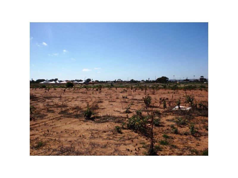 50 (lot 482) Brockagh Drive, Utakarra WA 6530