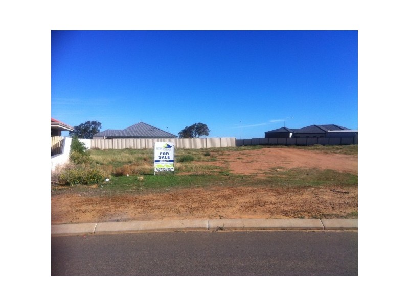 54 Ego Creek Loop, Waggrakine WA 6530