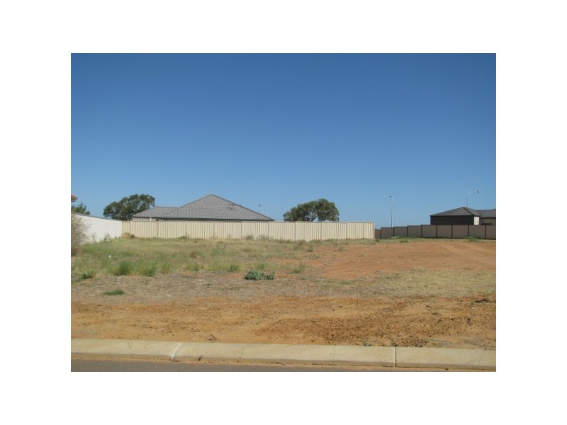54 Ego Creek Loop, Waggrakine WA 6530