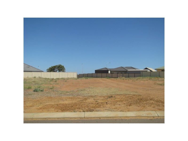 54 Ego Creek Loop, Waggrakine WA 6530