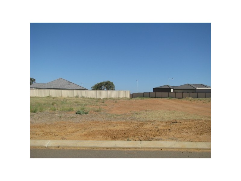 54 Ego Creek Loop, Waggrakine WA 6530