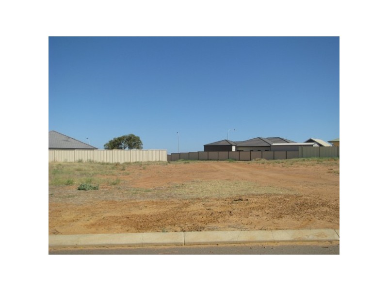 54 Ego Creek Loop, Waggrakine WA 6530