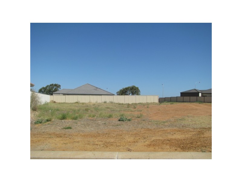 54 Ego Creek Loop, Waggrakine WA 6530