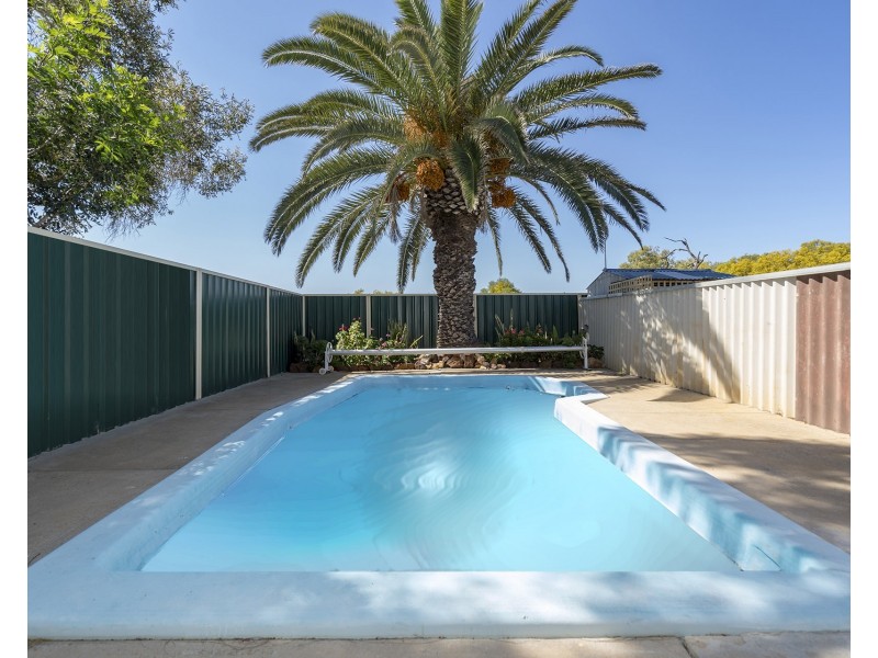 83 Mitchell Street, Spalding WA 6530