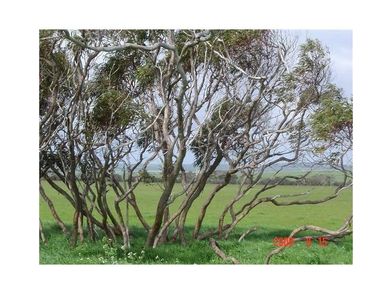 18 James Eastough Rd, Howatharra WA 6532