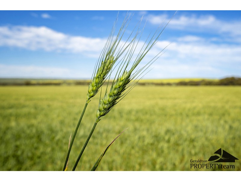 460 Station Road, Durawah WA 6532