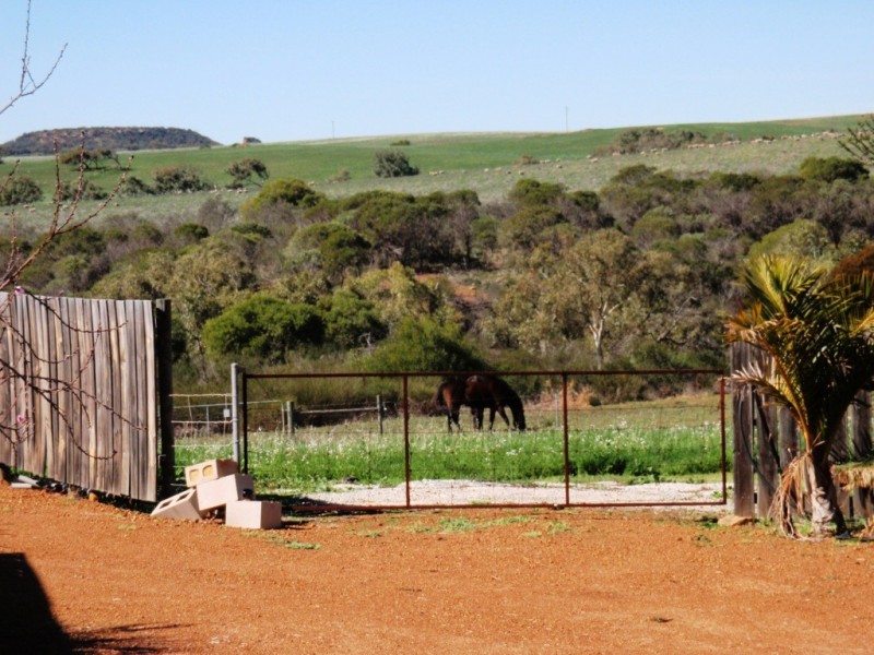 5 Elliott St, Isseka WA 6535