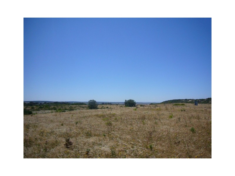 23 African Reef Blvd, Greenough WA 6532