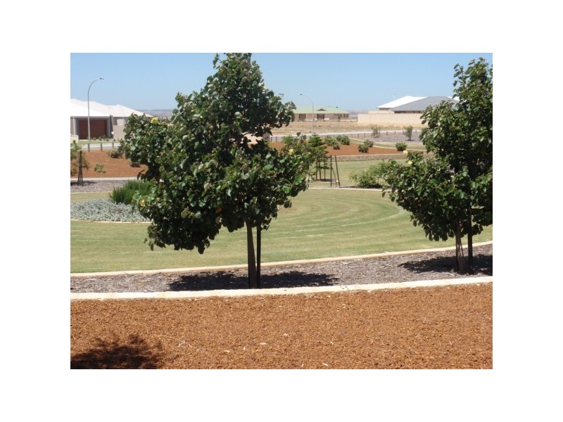 108 Ilma Rise, Wandina WA 6530