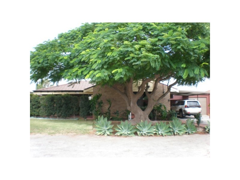 16 Jabiru Way, Waggrakine WA 6530