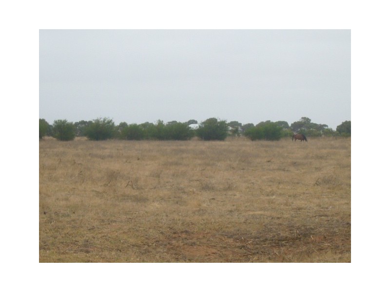 104 (A) Meadow Lane Road, Walkaway WA 6528