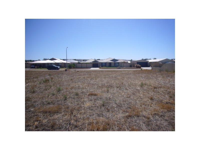 33 Wahn Avenue, Waggrakine WA 6530