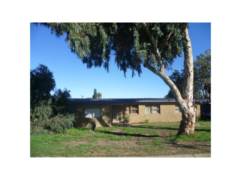 127 Mitchell Street, Spalding WA 6530