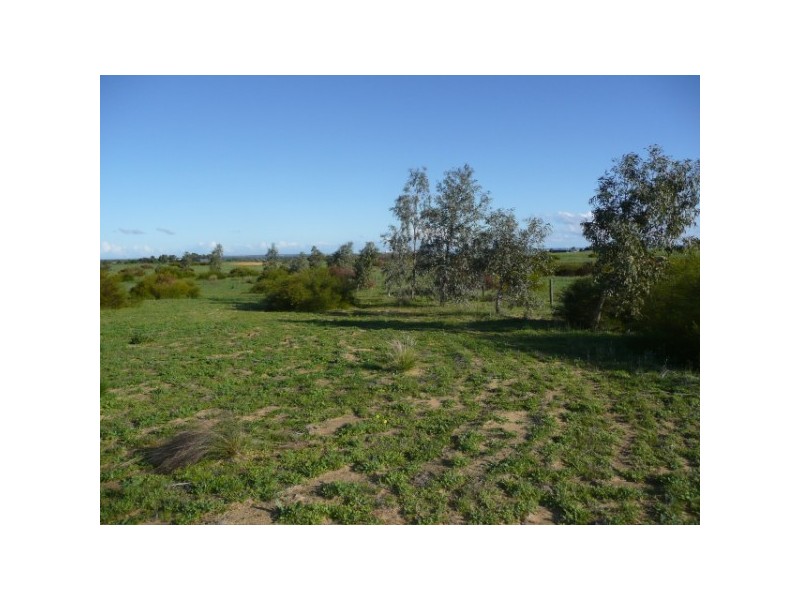 232 Parmelia Blvd, White Peak WA 6532