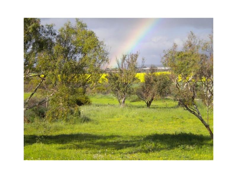 214 Giles Road, Moonyoonooka WA 6532