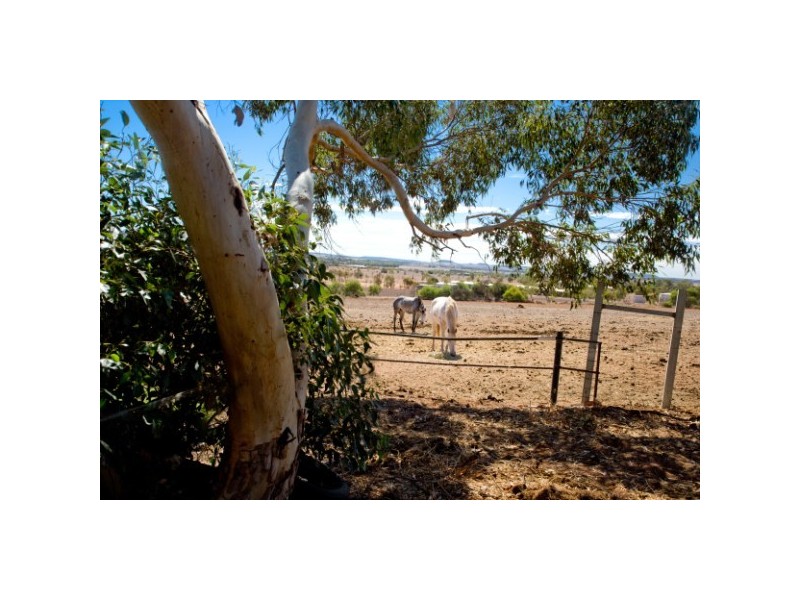 214 Giles Road, Moonyoonooka WA 6532