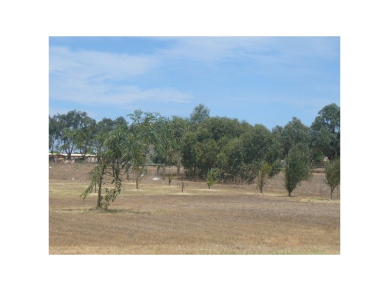 36 Dressage Circle, Deepdale WA 6532