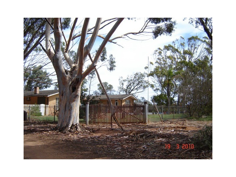 167 Giles Road, Moonyoonooka WA 6532