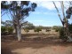 167 Giles Road, Moonyoonooka WA 6532