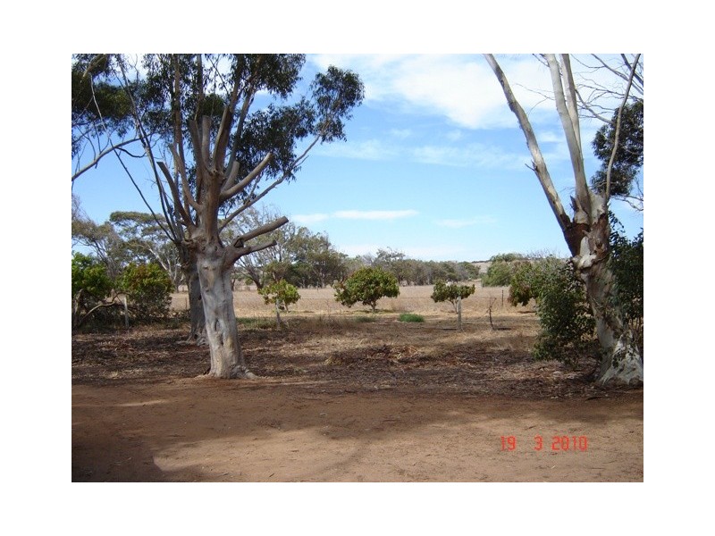 167 Giles Road, Moonyoonooka WA 6532