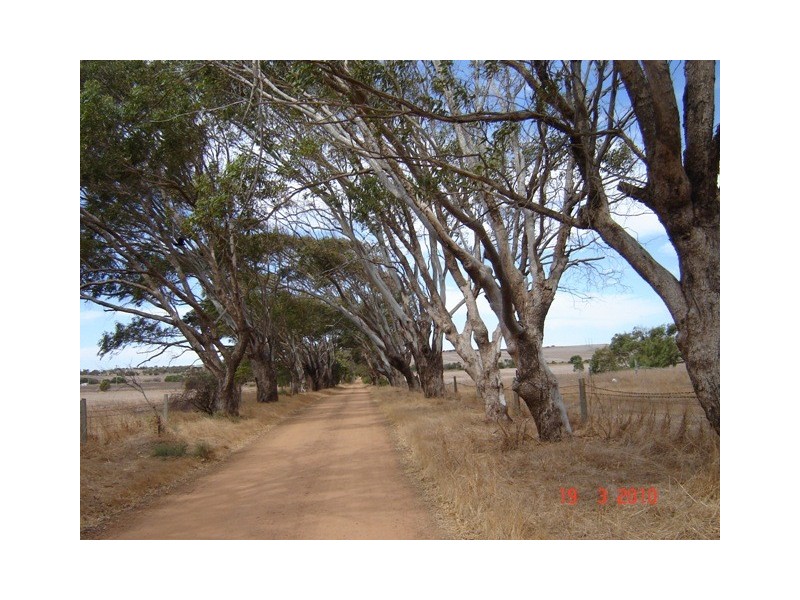 167 Giles Road, Moonyoonooka WA 6532