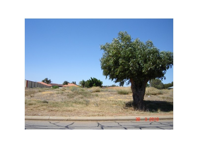 46 Lawley Street, Spalding WA 6530