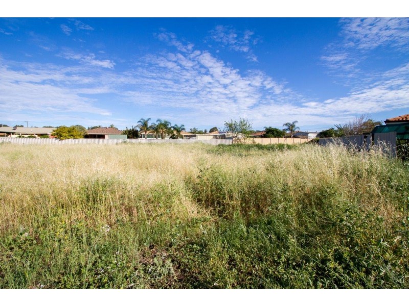 33 Bonamia Road, Utakarra WA 6530