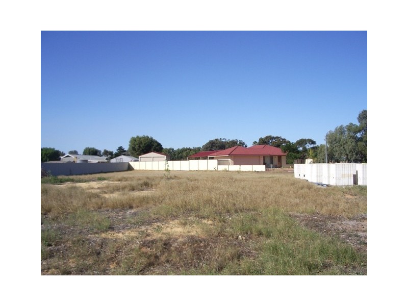 50 Desmond Place, Walkaway WA 6528