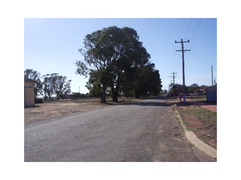 50 Desmond Place, Walkaway WA 6528