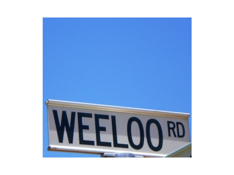 8 Weeloo Road, Waggrakine WA 6530