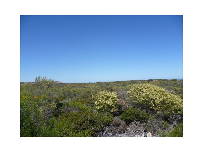 10 Hatch Road, East Bowes WA 6535