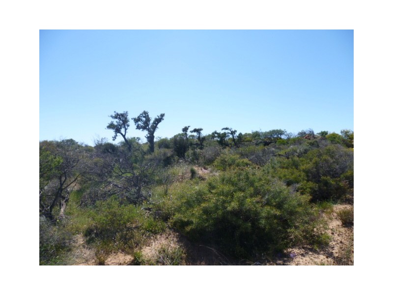 10 Hatch Road, East Bowes WA 6535