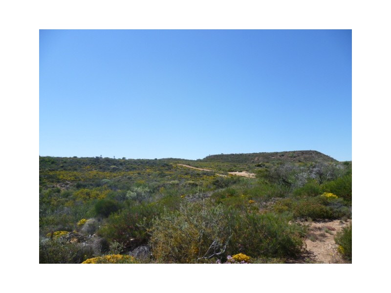 10 Hatch Road, East Bowes WA 6535