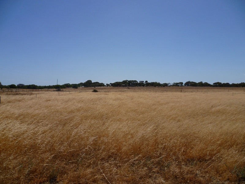 435 Alexander Dr, Glenfield WA 6532