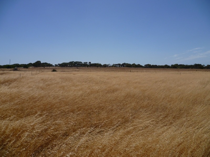 435 Alexander Drive, Glenfield WA 6532