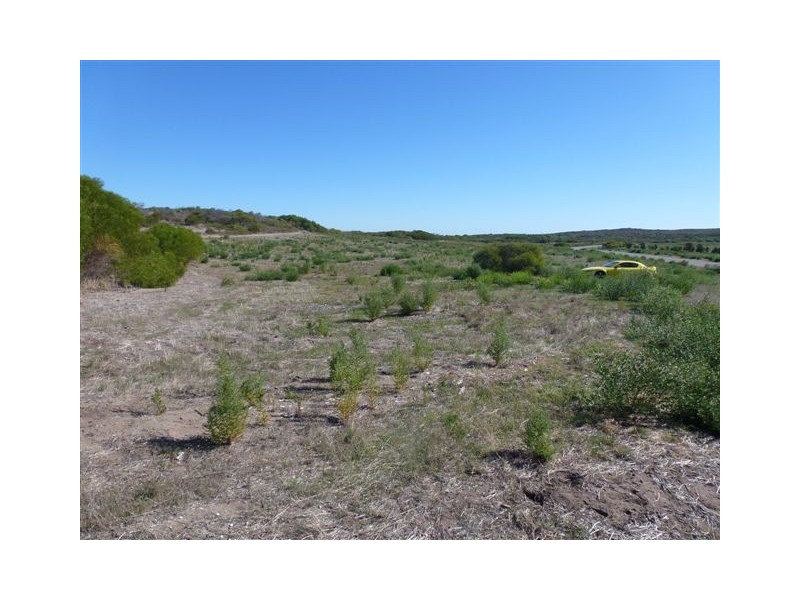 Lot 110 African Reef Boulevard, Greenough WA 6532