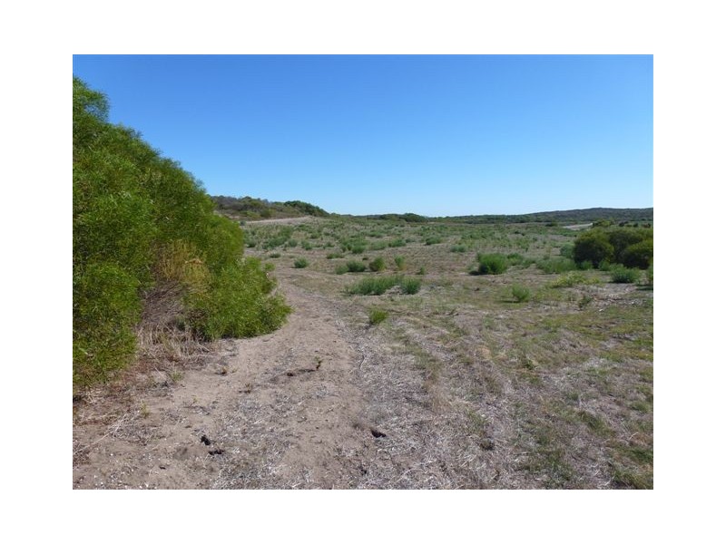 Lot 110 African Reef Boulevard, Greenough WA 6532