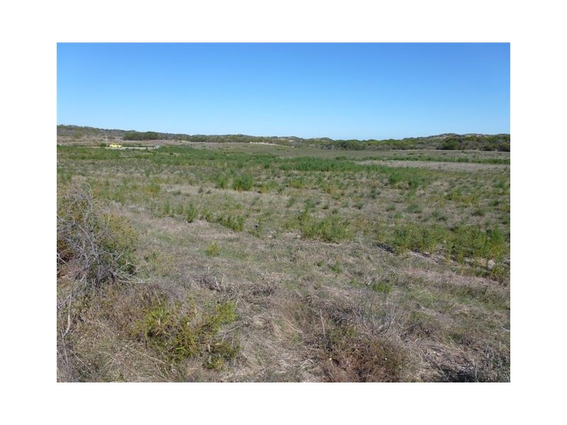 Lot 110 African Reef Boulevard, Greenough WA 6532